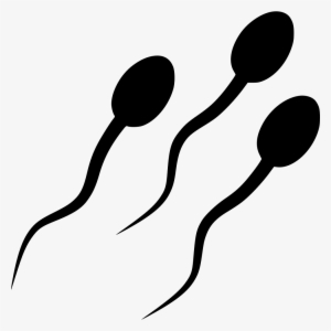 Png File - Sperm Svg