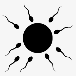 Png File - Sperm And Egg Png