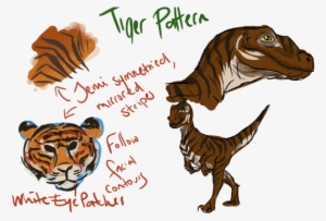 I Tried To Use The 'ghost Face' Look Of The Barn Owl - Bengal Tiger