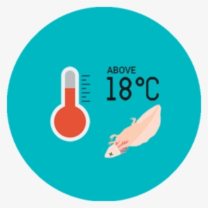 What Is The Best Temperature For Axolotl - Temperature