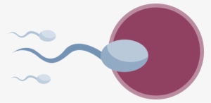 In Men, Many Toxins Found In A Cigarette Can Affect - Floorplan Tell You No Lie