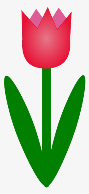 Red, Outline, Plants, Leaf, Tulips, Flower, Flowers - Clipart Of Tulip