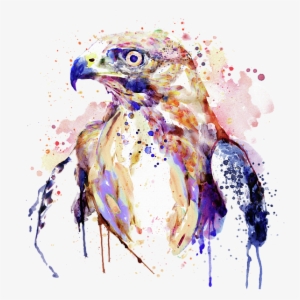 Bleed Area May Not Be Visible - Bird Of Prey