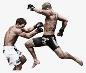 Ea Sports Ufc Png Background Image - Ufc Transparent Background