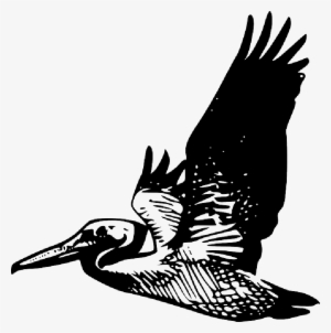 Animals, Silhouette, Cartoon, Birds, Bird, Flying - Pelican Clip Art