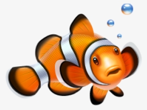 Clown Fish Icon