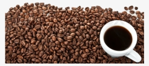 800 × - Coffee Beans White Background Png