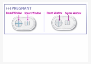 A Sign In The Round Window Indicates A “pregnant” Result - Circle