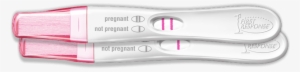Rapid Result Pregnancy Test - Pregnancy