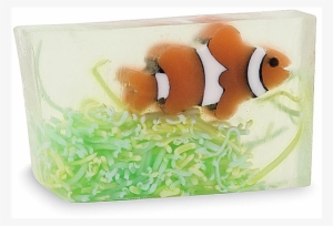 Clownfish Soap - Primal Elements 6 Oz. Glycerin Bar Soap - Clownfish