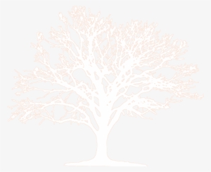 Join The People Of Congo Basin And Share Your Wish - Crochet Snowflakes