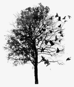 Bird & Tree Png - Fall Instagram Theme Divider