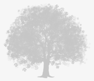 Tree Clipart