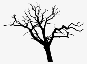 Tree Forest Sugar Maple Drawing Clip Art - Tree Silhouette Transparent Background