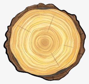 Tree Wellness - Tree