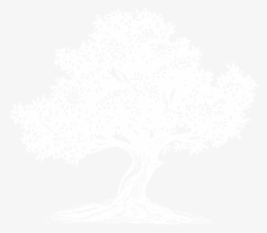 Icon Olive Tree White - Themes, Issues, And Debates In Psychology