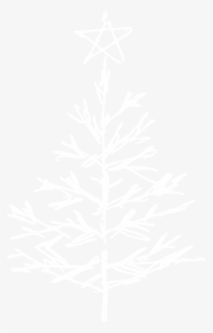 Fresh Cut Trees - Christmas Tree