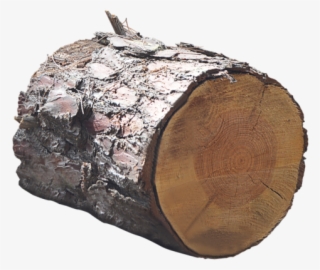 Png, Trunk, Lena, Tree - Tronco Png