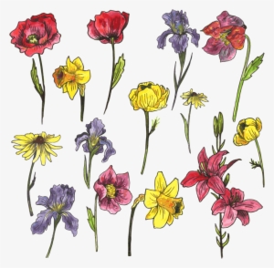 Watercolor Painting Euclidean Vector Flower - Watercolor Painting