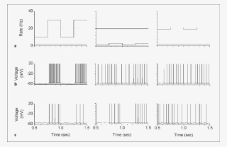 Effect Of The Stp On The Output Of An Integrate And - Calligraphy