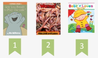 Books About Worms - Baby Loves Spring!: A Karen Katz Lift-the-flap Book