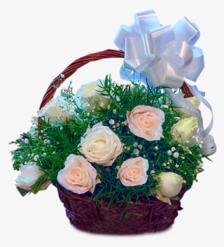 24 White Roses Basket - Rose
