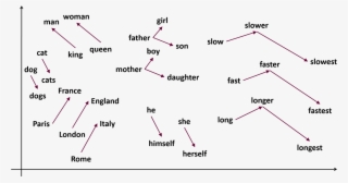 Word Representation Through Vectors - The Notebook