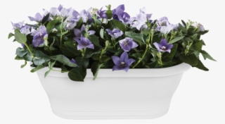 Home > Collection > Corsica Wall Basket - Corsica Wall Basket 39cm Anthracite