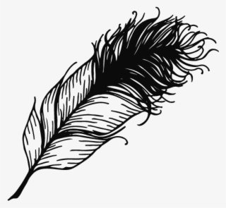 Angela Luffman Feather - Portable Network Graphics