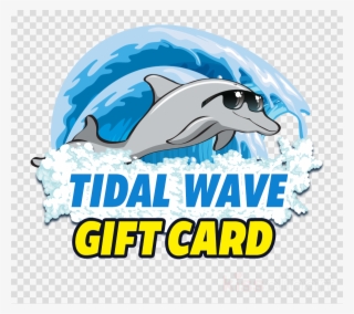 Gift Card Clipart Common Bottlenose Dolphin Logo - Tidal Wave Auto Spa