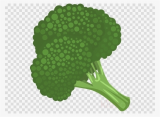 Broccoli Icon Png Clipart Broccoli Slaw Clip Art - Clip Art Broccoli Clipart
