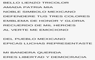 Bandera Mexicana Bandera Tricolor Orgullo De La Patria