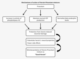 Unsurprisingly, Piracetam Mitigates Some Of The Negative - Piracetam Mechanism Of Action
