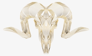 Click And Drag To Re-position The Image, If Desired - Argali