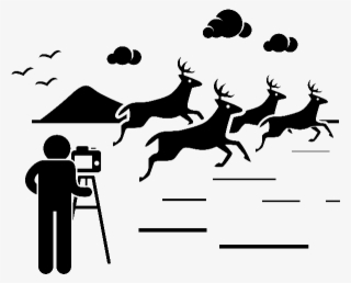 Wildlife - Pictogram Model