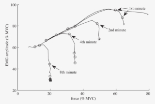 The Relations Between Force And Emg Amplitude In Sustained - Map
