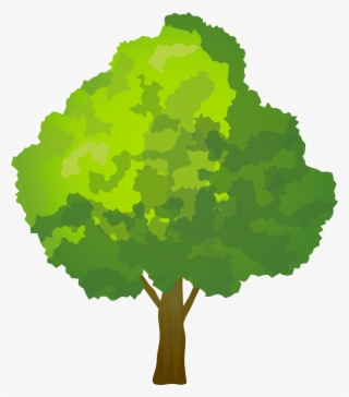 Tree Graphic Png