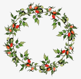 Rose Hips Christmas Frames - Vector Graphics