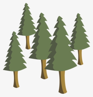 Pine Tree Graphic - Vektor Pohon Pinus