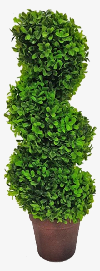 Topiary Tree Spiral - Tree