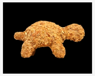 Noahs Ark Topiary Garden Patio United States Small - Tortoise