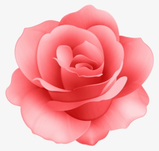 Free Png Red Rose Flower Png Images Transparent - Pink Rose Flower Clip Art