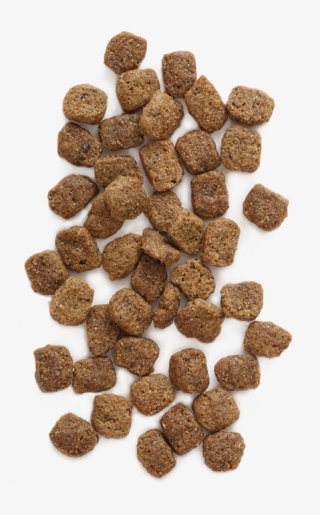 Earthborn Holistic® Meadow Feast™ Is Advanced Alternative - Earthborn Holistic Meadow Feast