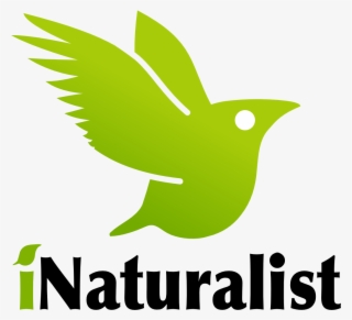 Inaturalist Logo