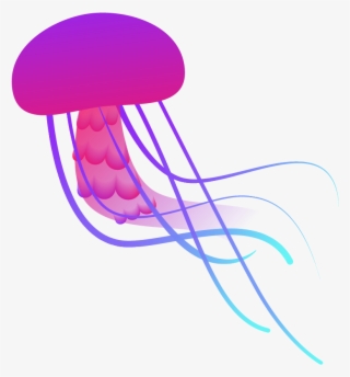 Spirtanimal-export Jellyfish Copy - Portable Network Graphics