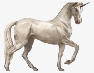 Original - Unicorn Png
