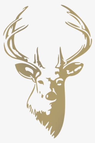 More From - Deer Head