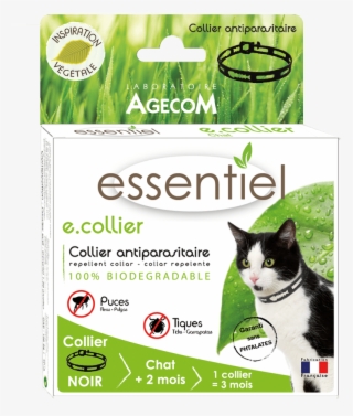 Collier Chat Noir - Collar