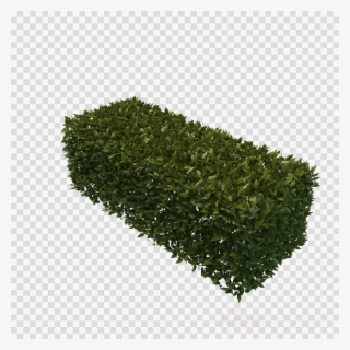 Box Hedge Png Clipart Hedge Box - Target Icon Transparent Background