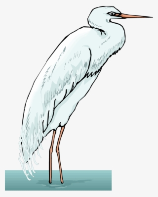 Png Transparent Library Free Heron - Portable Network Graphics